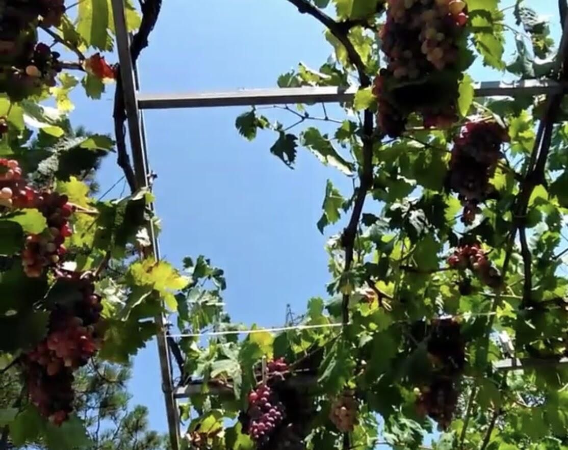 Апартаменты Tivoli apartments Рафаиловичи-44