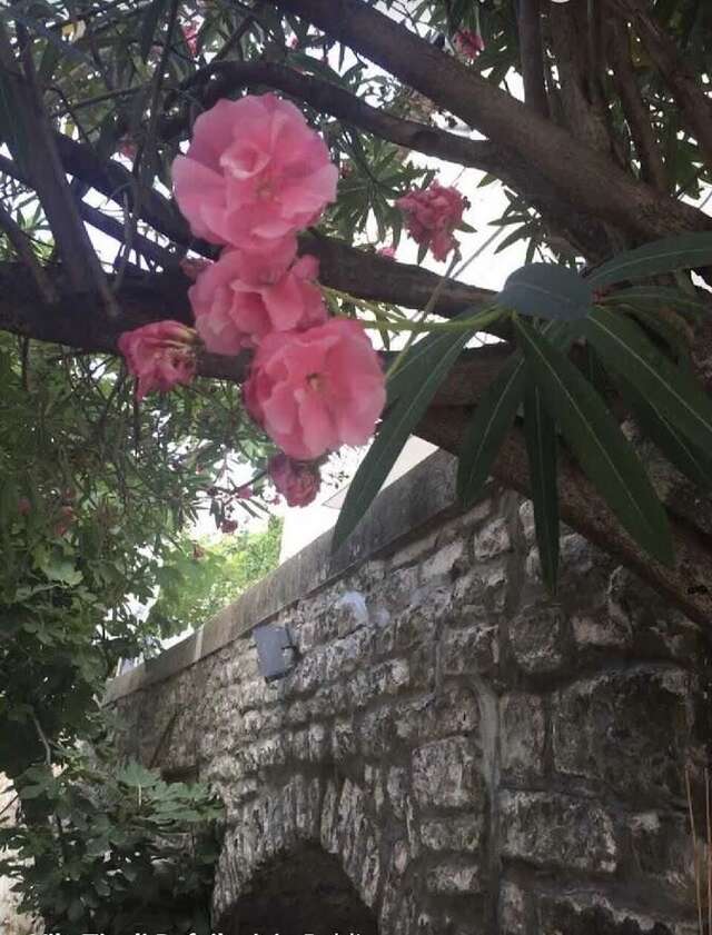 Апартаменты Tivoli apartments Рафаиловичи-39