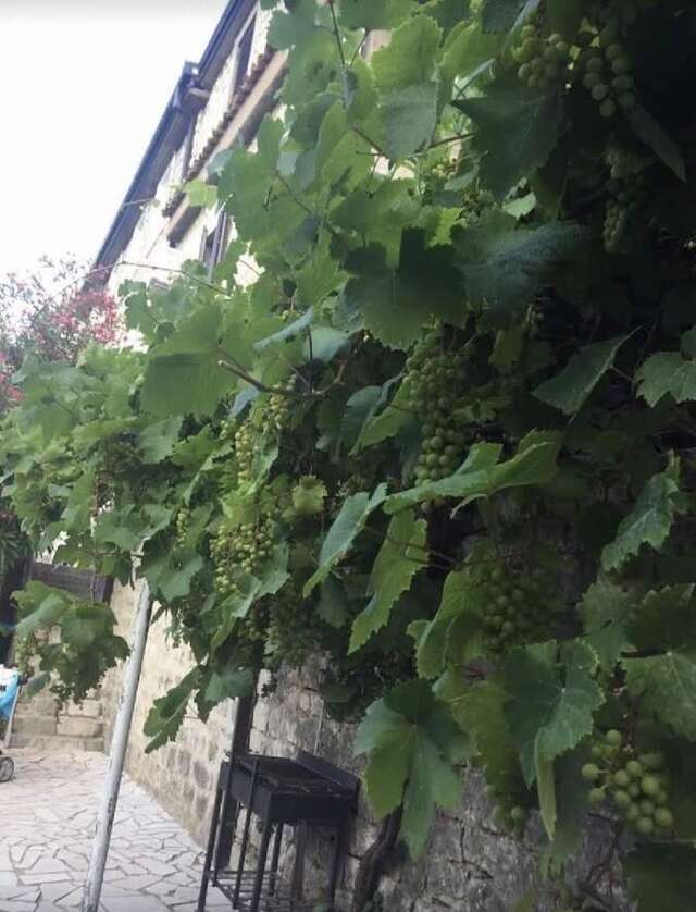 Апартаменты Tivoli apartments Рафаиловичи-11